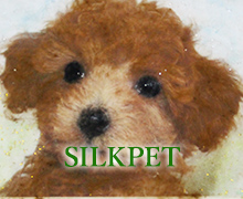 SILKPET