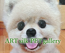 ART silk PET gallery